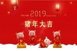 安品集團(tuán)2019年春節(jié)放假通知